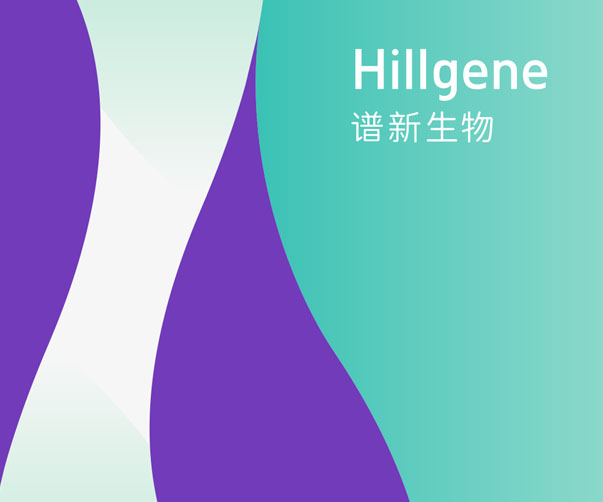 什么是VI形象設(shè)計？為何它對企業(yè)形象至關(guān)重要？